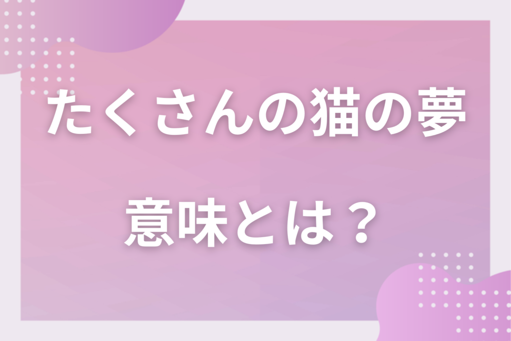【夢占い】たくさんの猫の夢の意味とは？状況別の深層心理や良い夢や悪い夢かを解説