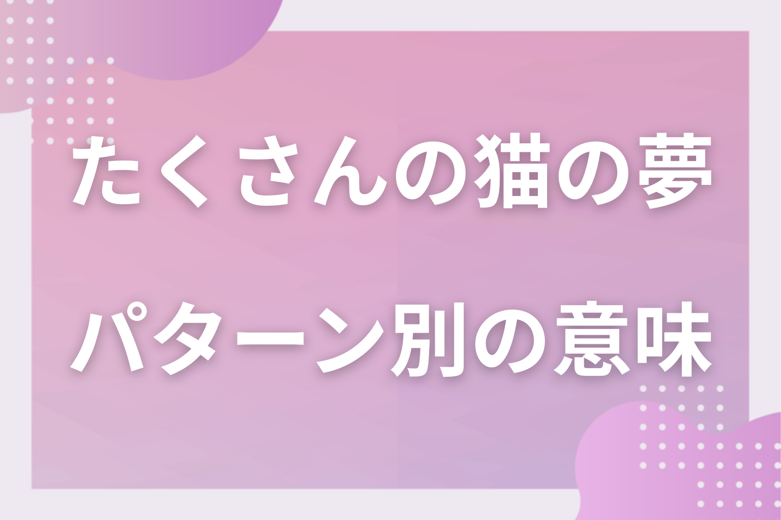 パターン別｜たくさんの猫の夢の意味
