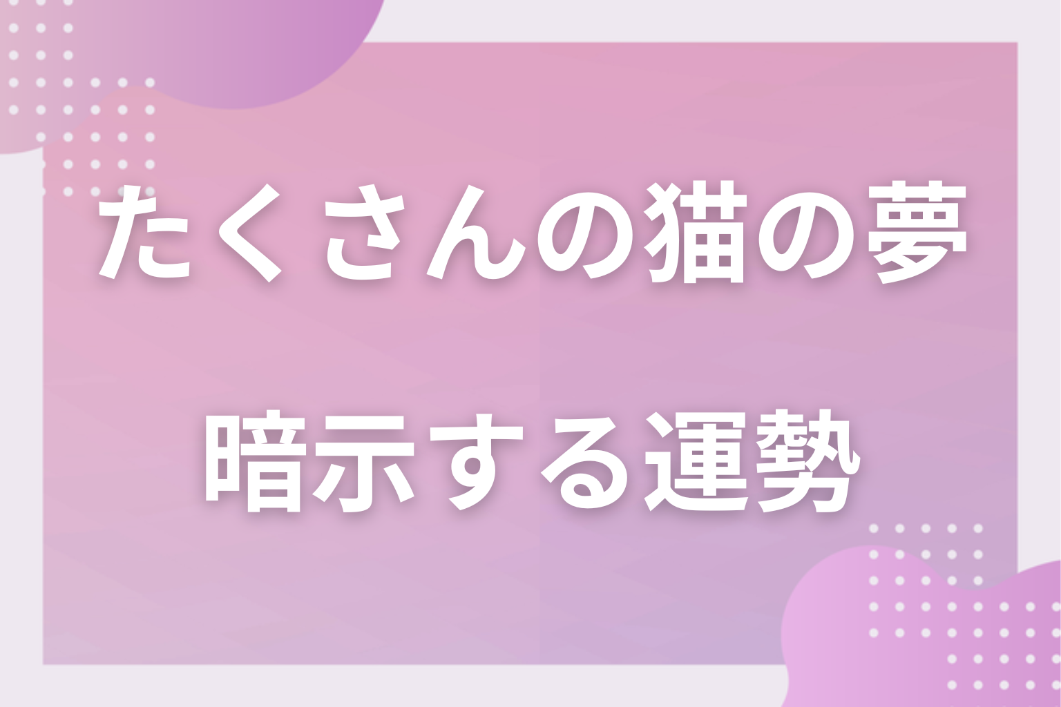 たくさんの猫の夢が暗示する運勢