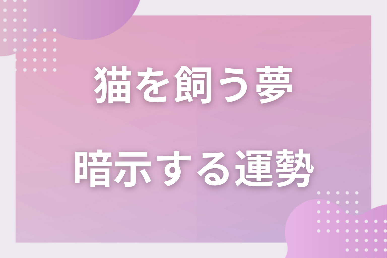 猫を飼う夢が暗示する運勢