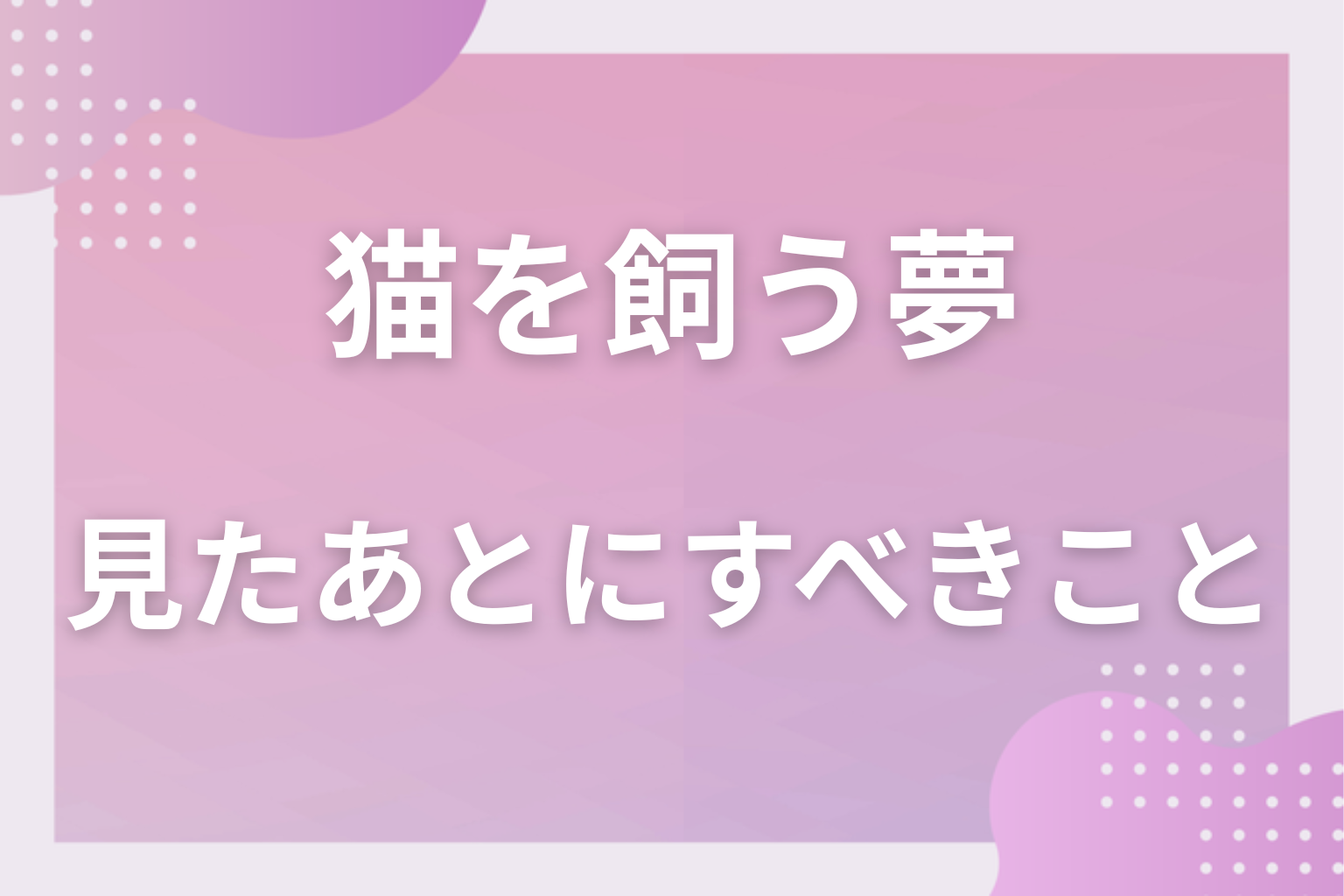 猫を飼う夢を見たあとにすべきこと