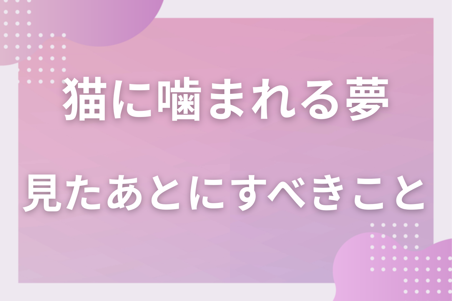 猫に噛まれる夢を見たあとにすべきこと