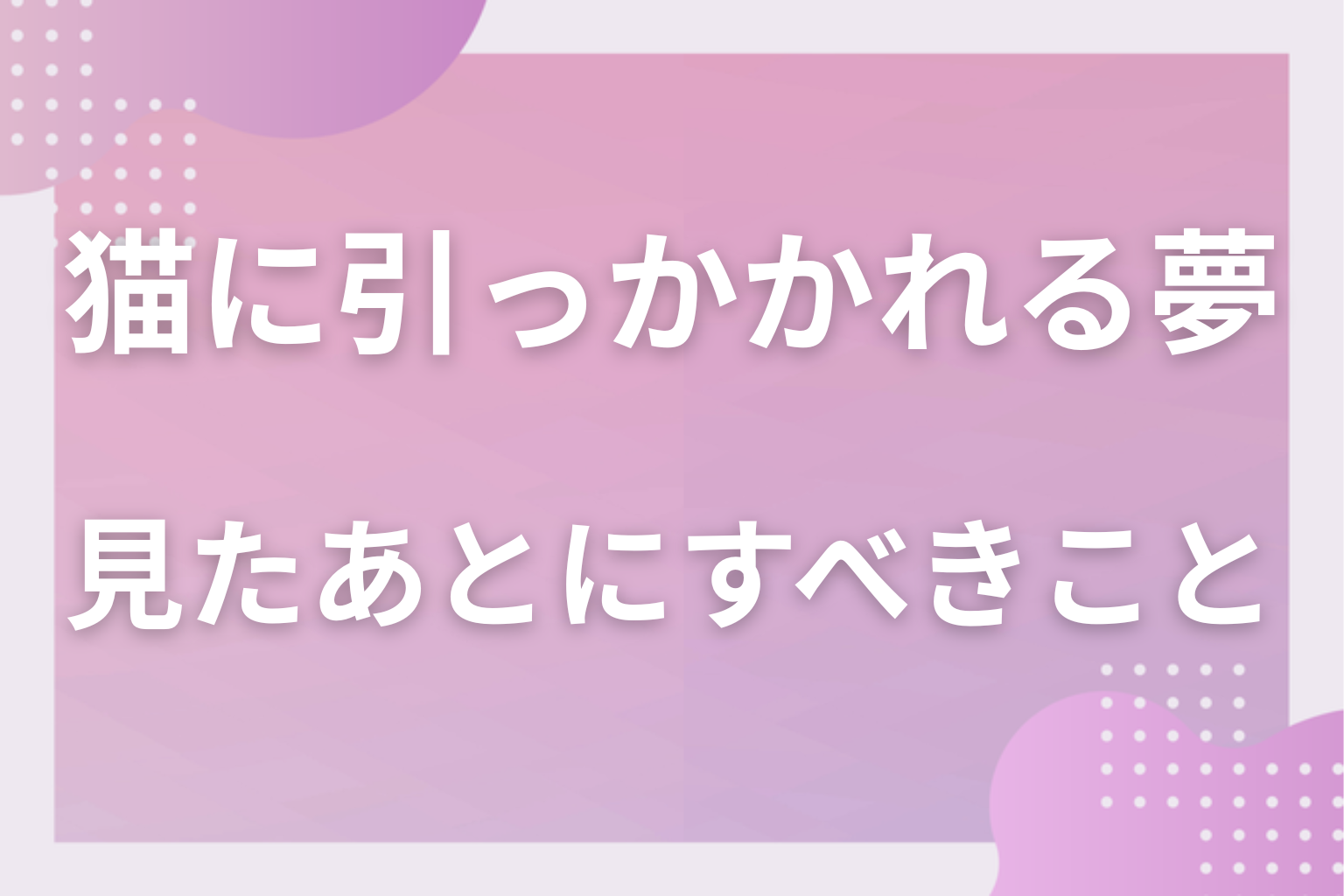 猫に引っかかれる夢を見たあとにすべきこと