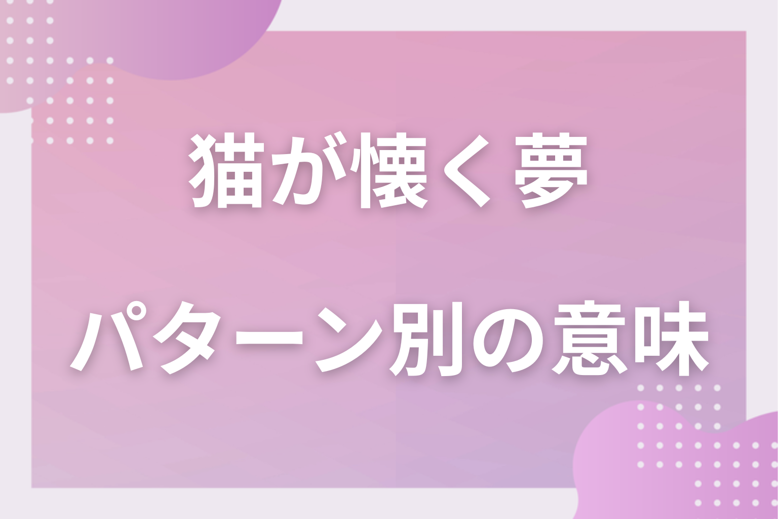 パターン別|猫が懐く夢の意味