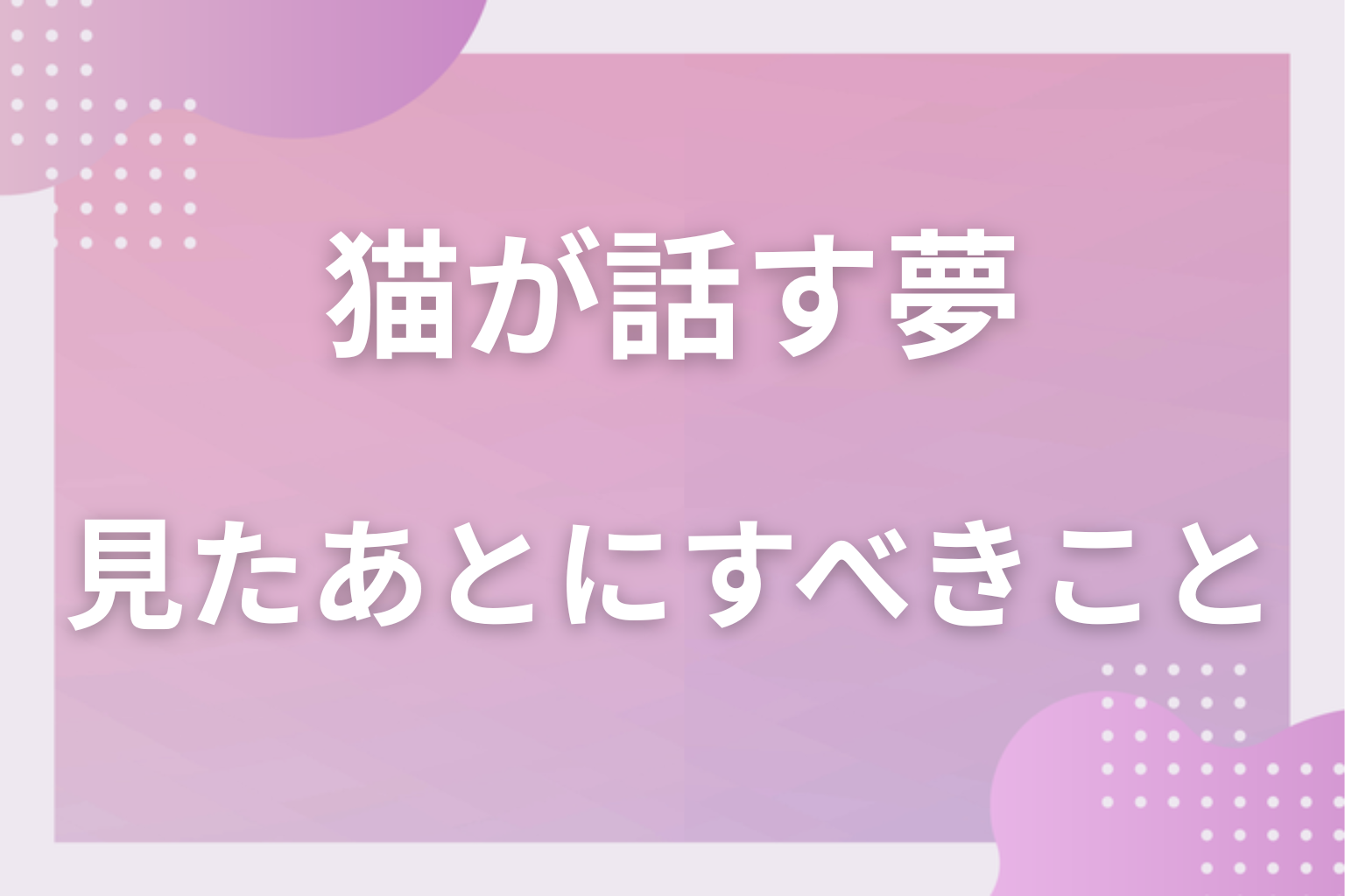 猫が話す夢を見たあとにすべきこと