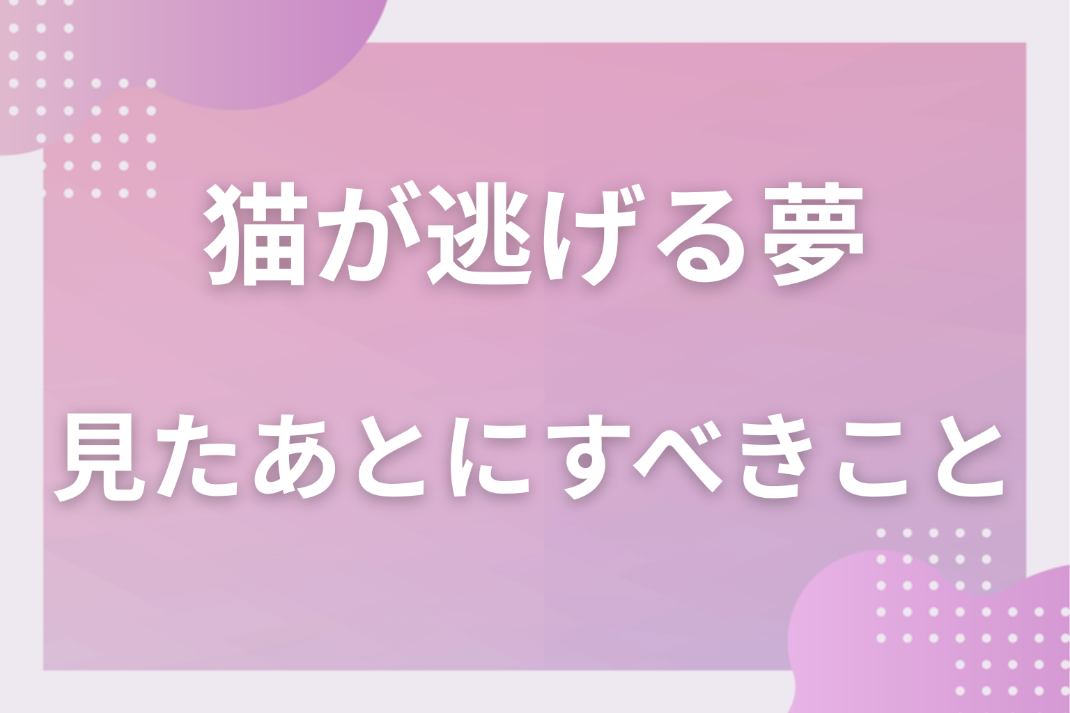 猫が逃げる夢を見たあとにすべきこと