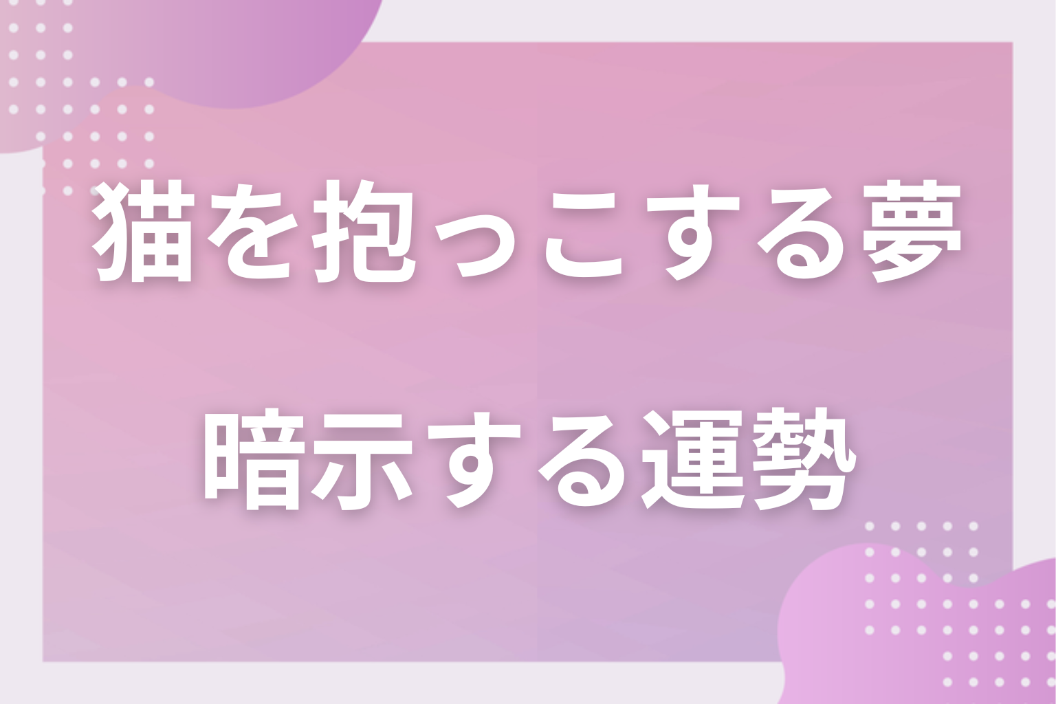 猫を抱っこする夢が暗示する運勢