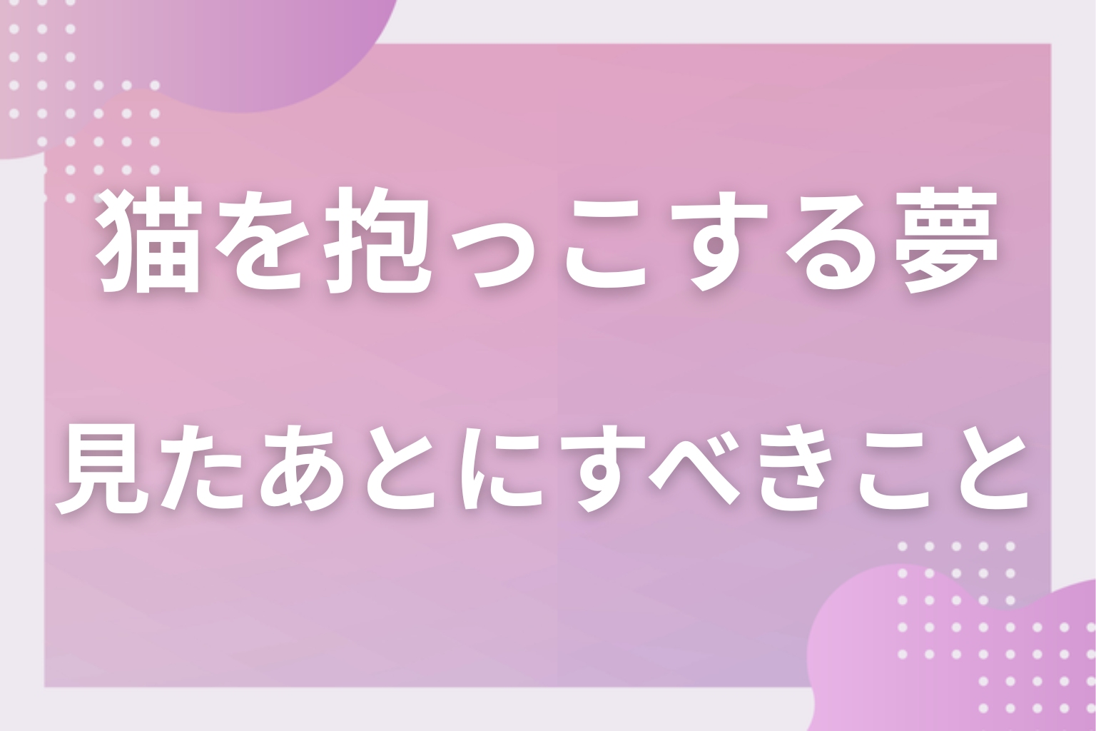 猫を抱っこする夢を見たあとにすべきこと