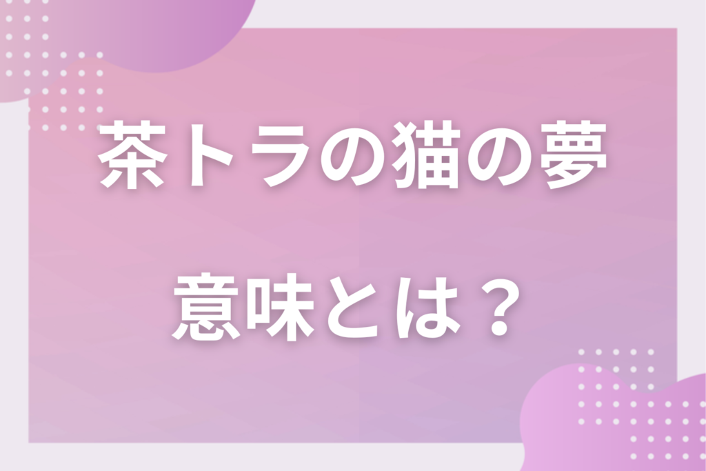 【夢占い】茶トラの猫の夢の意味とは？状況別の深層心理や良い夢や悪い夢かを解説