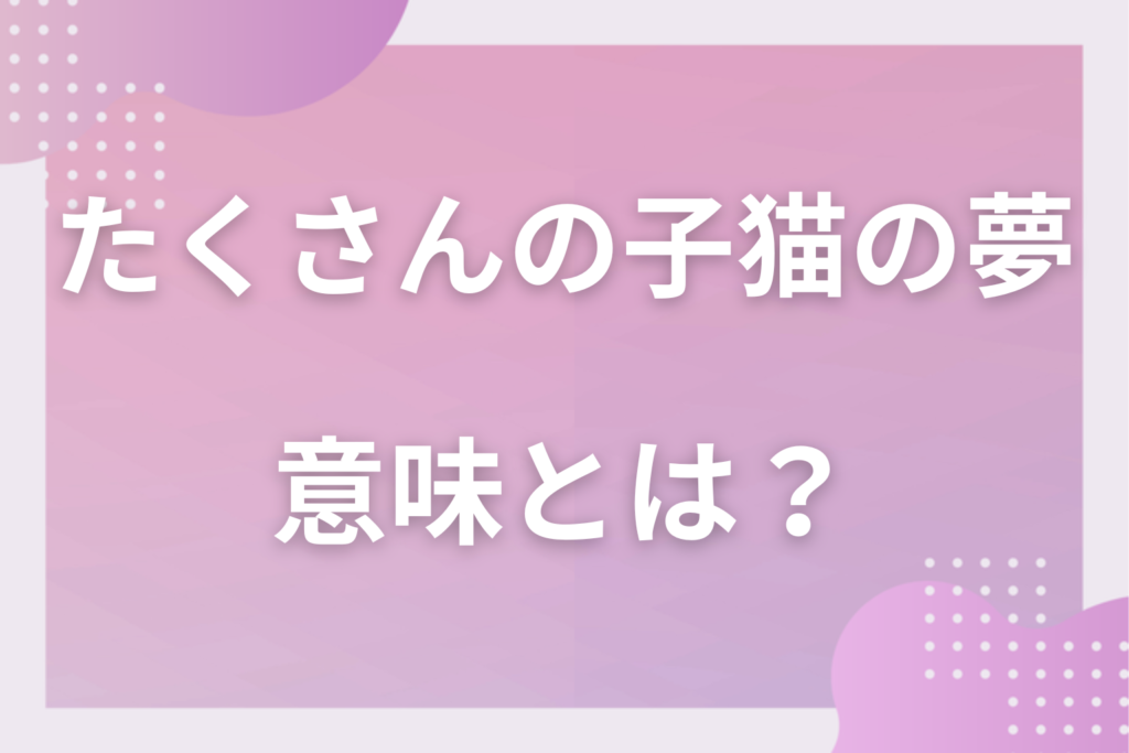 【夢占い】たくさんの子猫の夢の意味とは？状況別の深層心理や良い夢や悪い夢かを解説