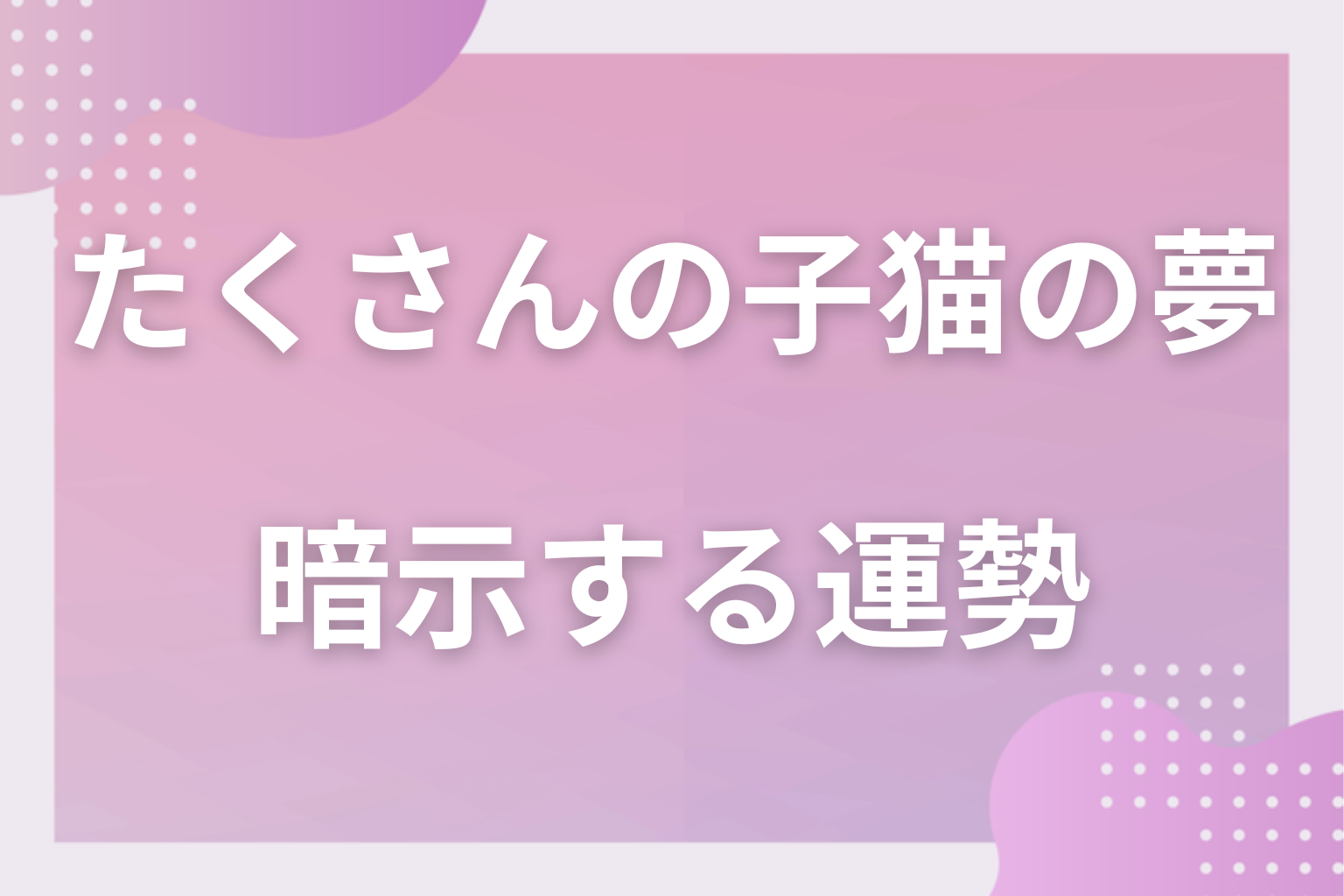 たくさんの子猫の夢が暗示する運勢