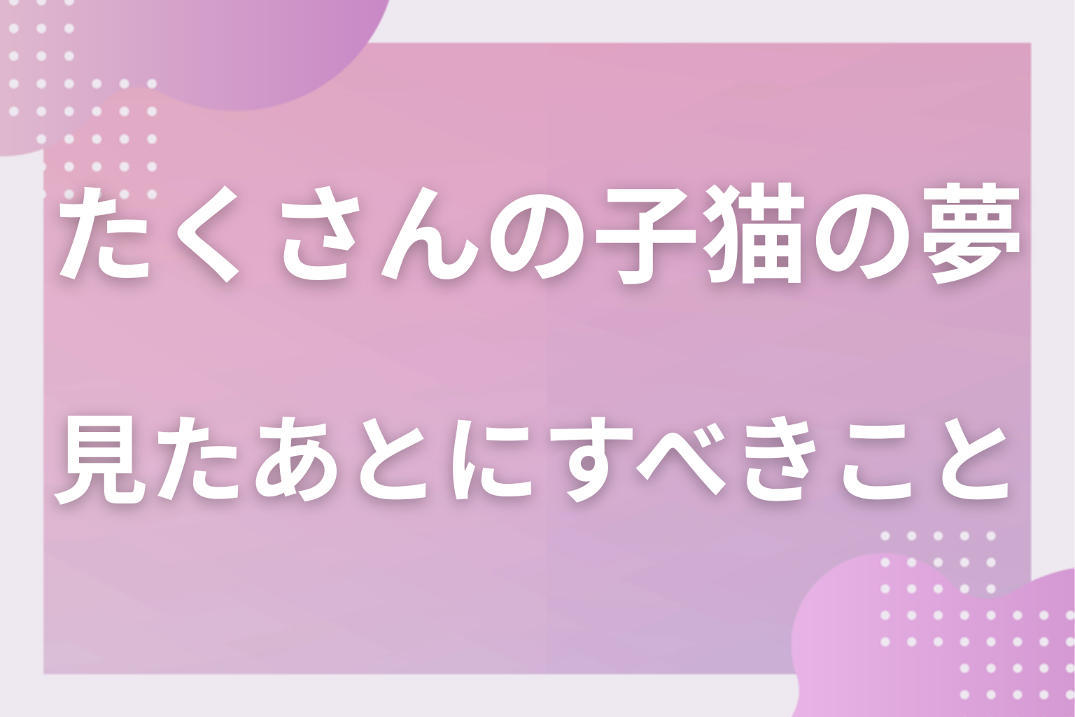 たくさんの子猫の夢を見たあとにすべきこと