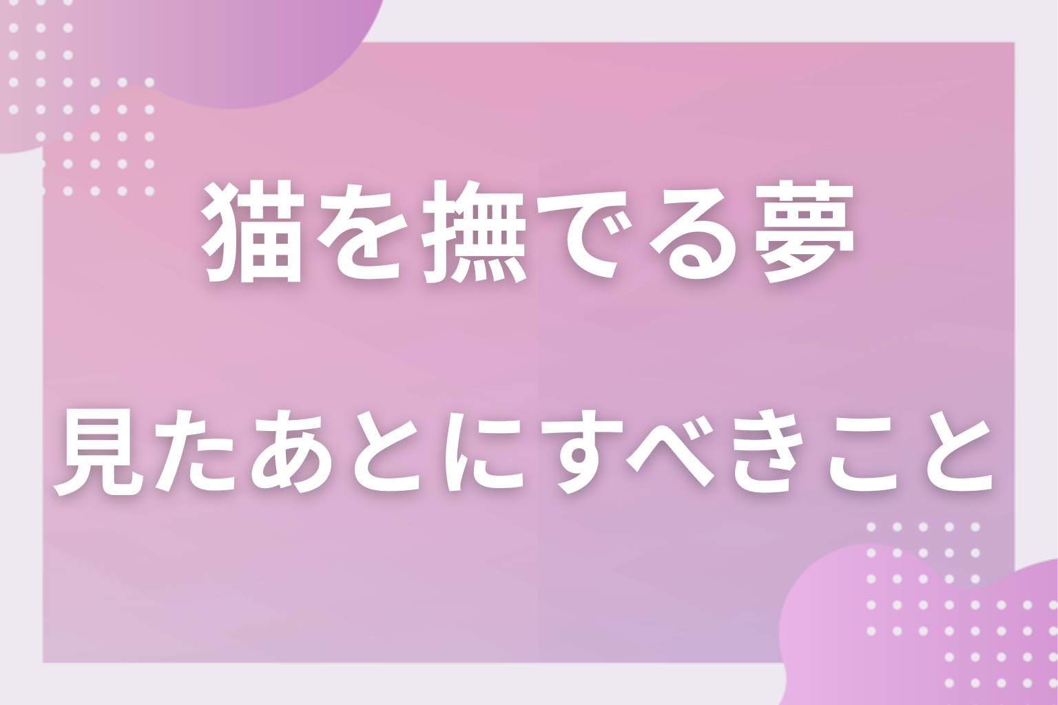 猫を撫でる夢を見たあとにすべきこと