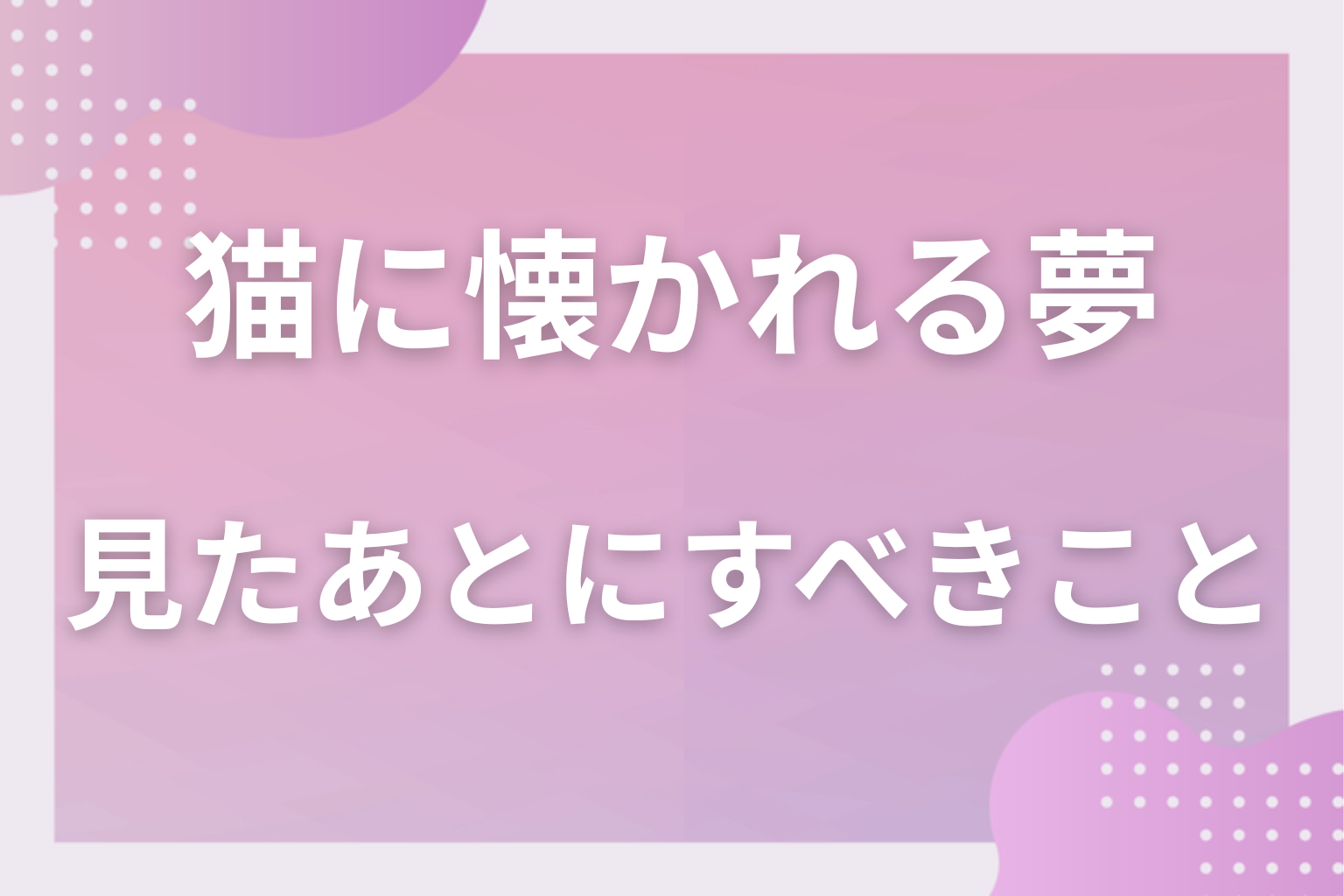 猫に懐かれる夢を見たあとにすべきこと