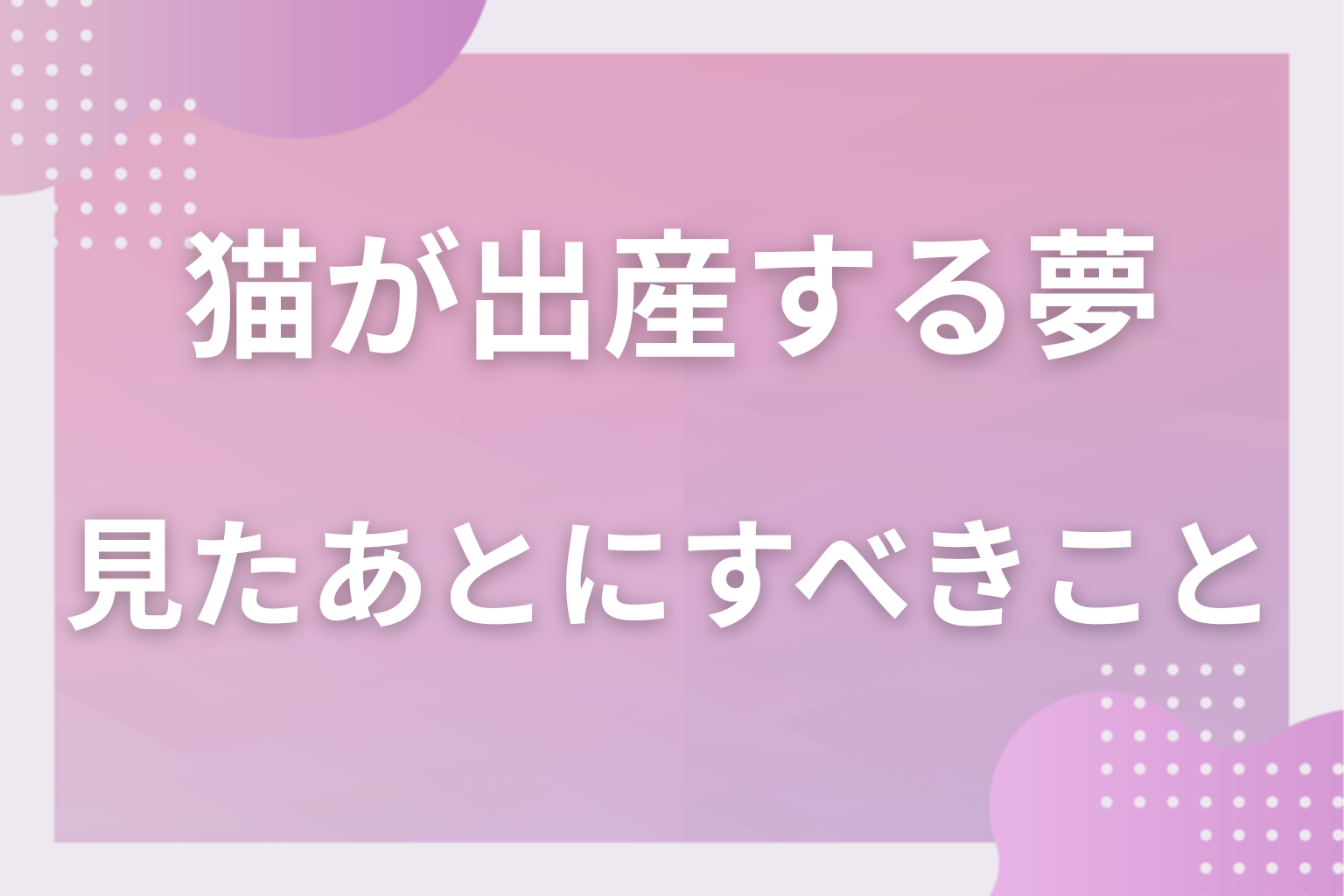猫が出産する夢を見たあとにすべきこと
