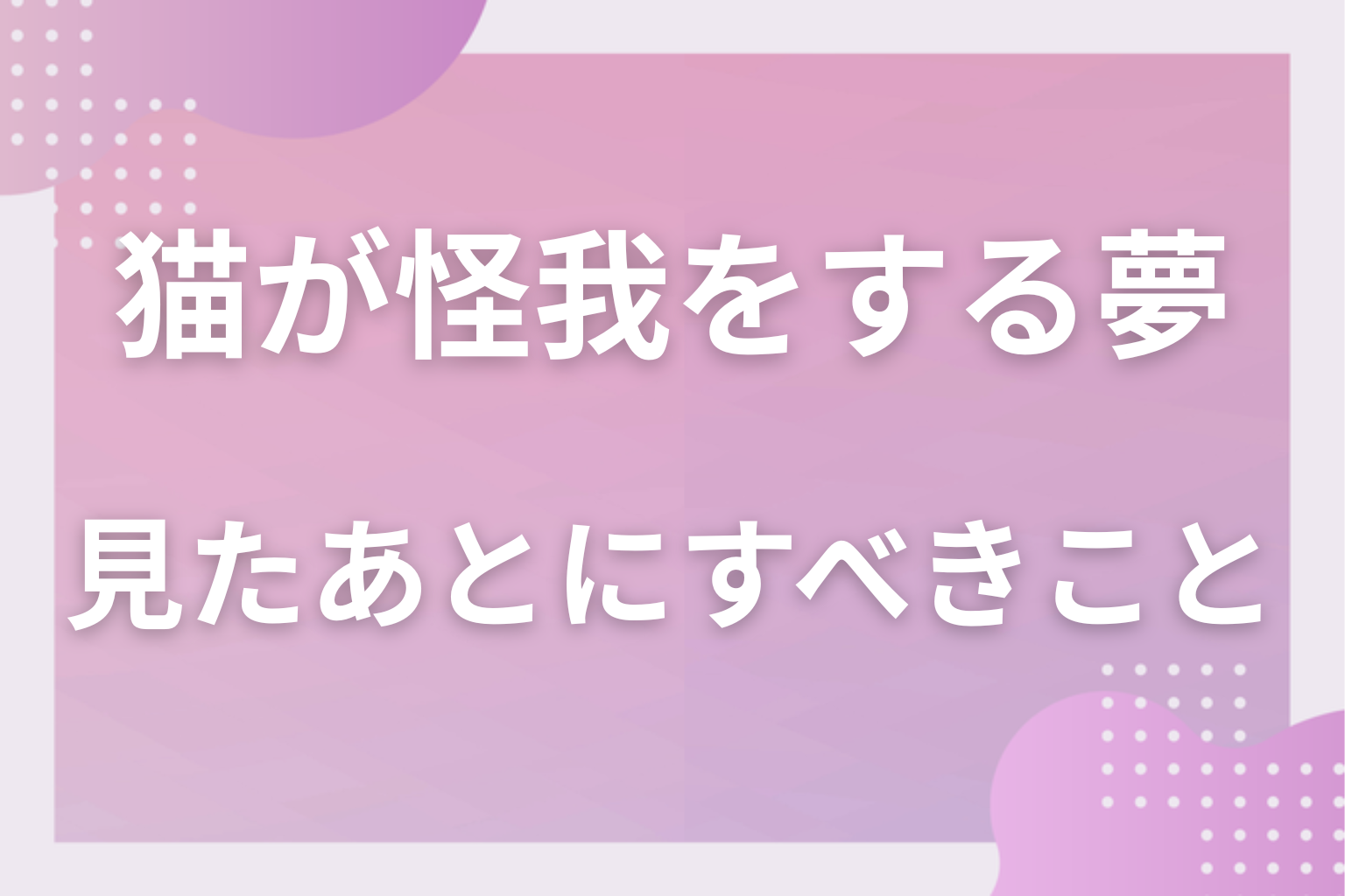 猫が怪我をする夢を見たあとにすべきこと