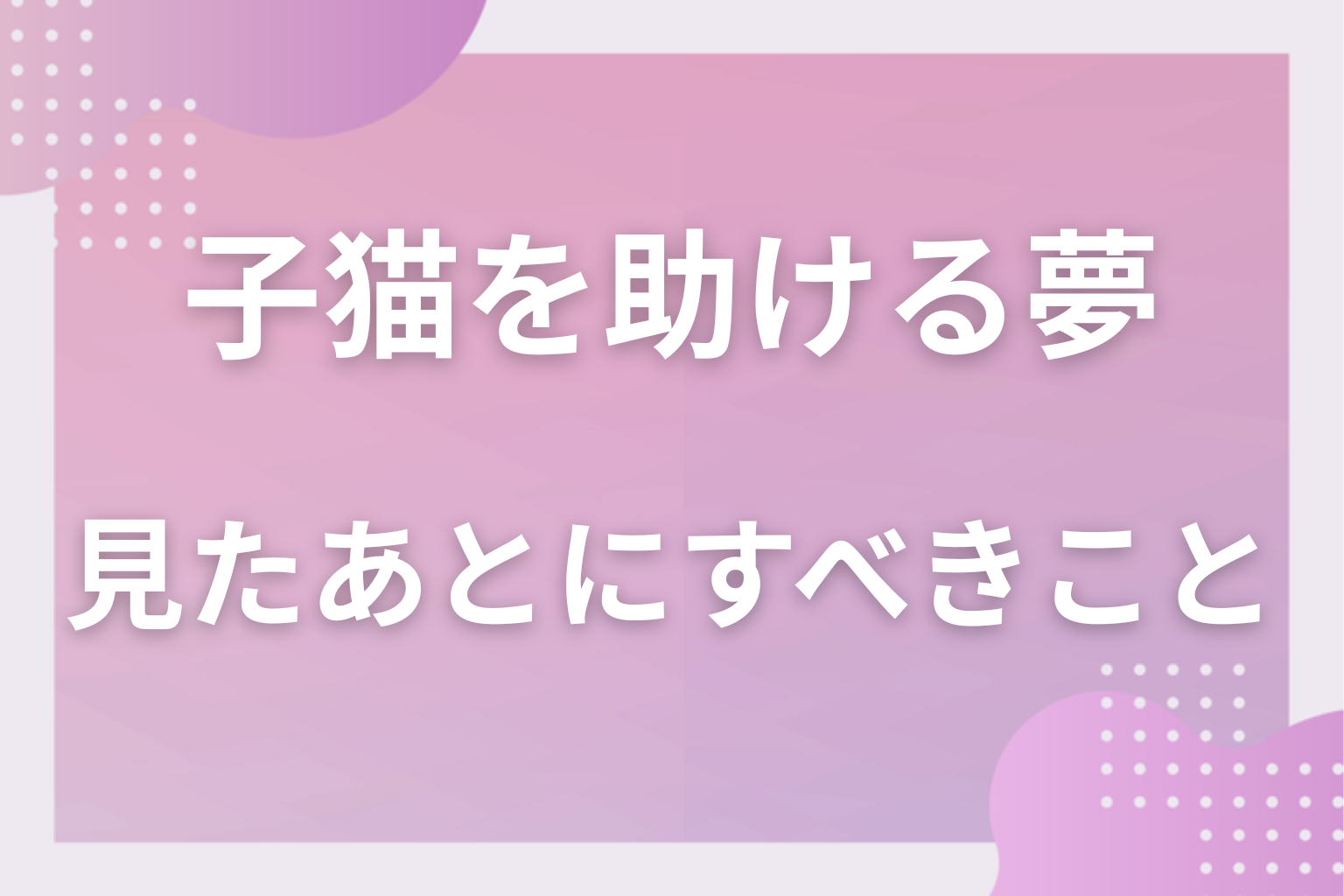 子猫を助ける夢を見たあとにすべきこと
