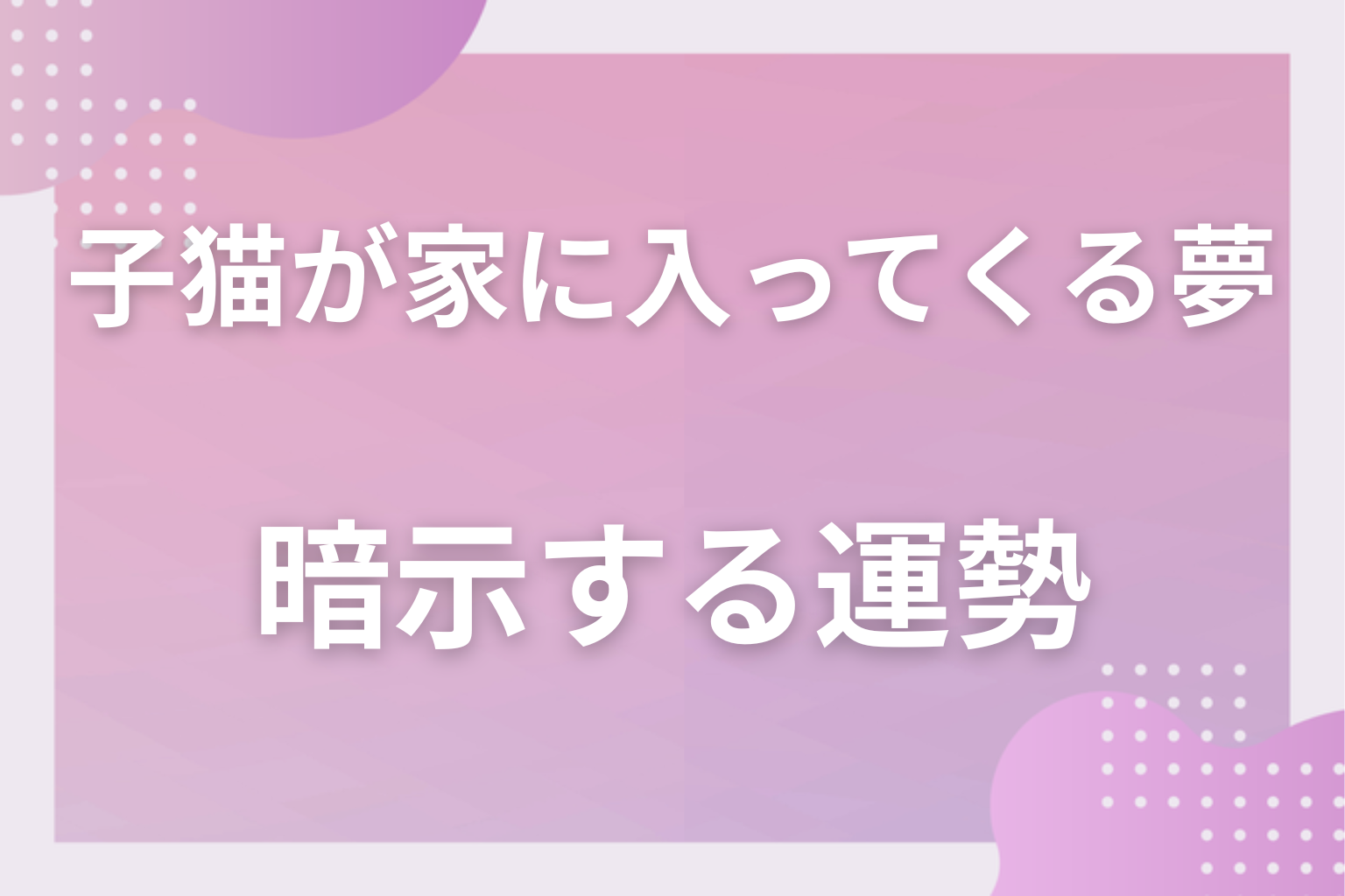 子猫が家に入ってくる夢が暗示する運勢