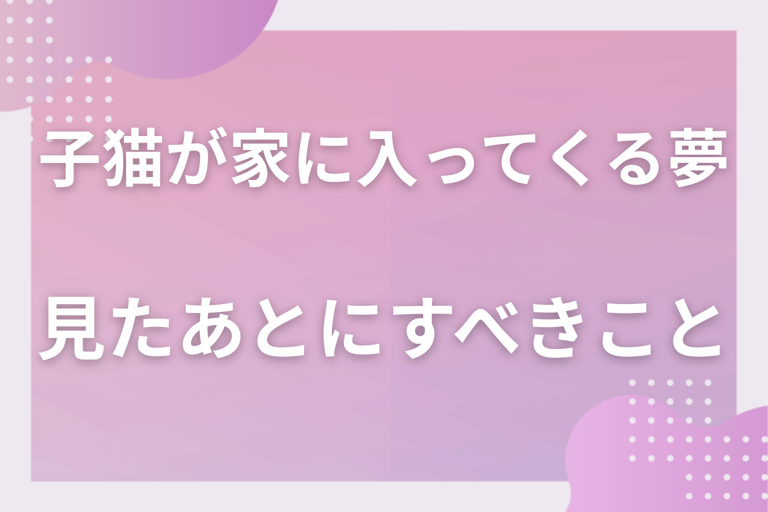 子猫が家に入ってくる夢を見たあとにすべきこと