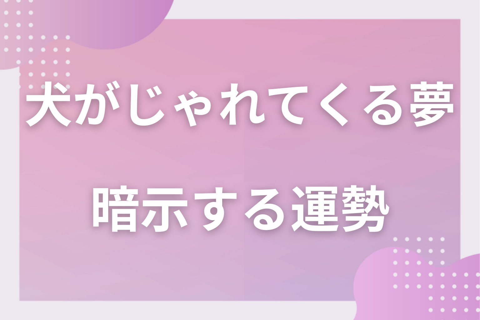犬がじゃれてくる夢が暗示する運勢