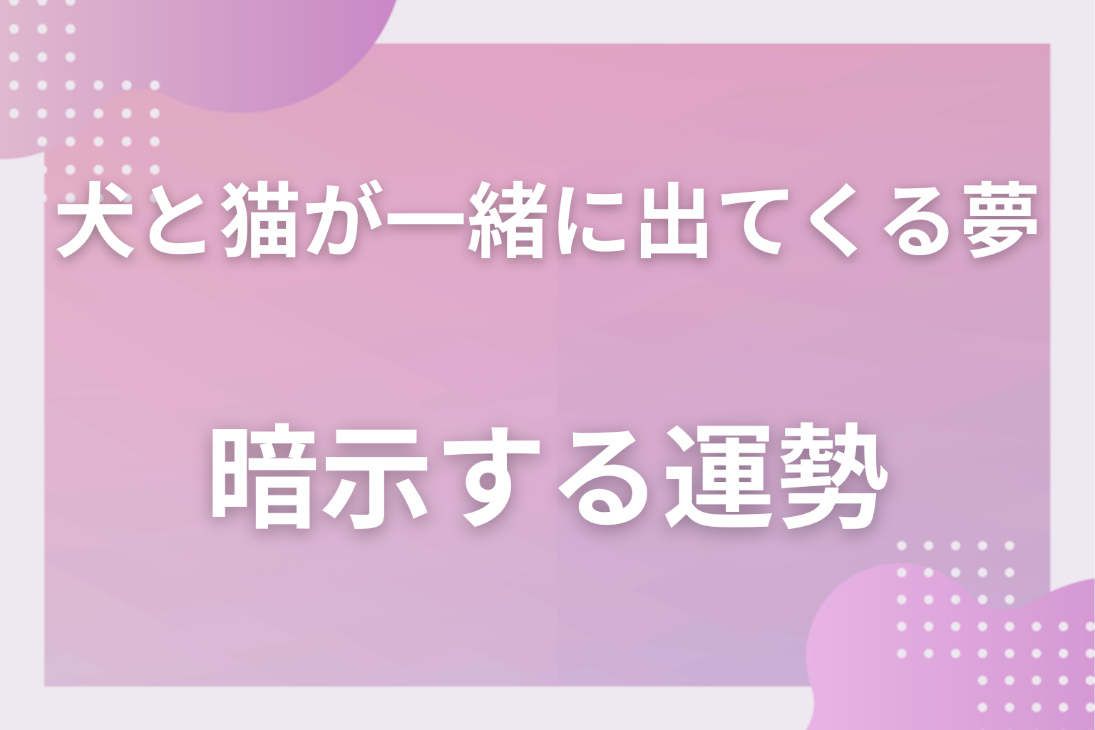 犬と猫が一緒に出てくる夢が暗示する運勢