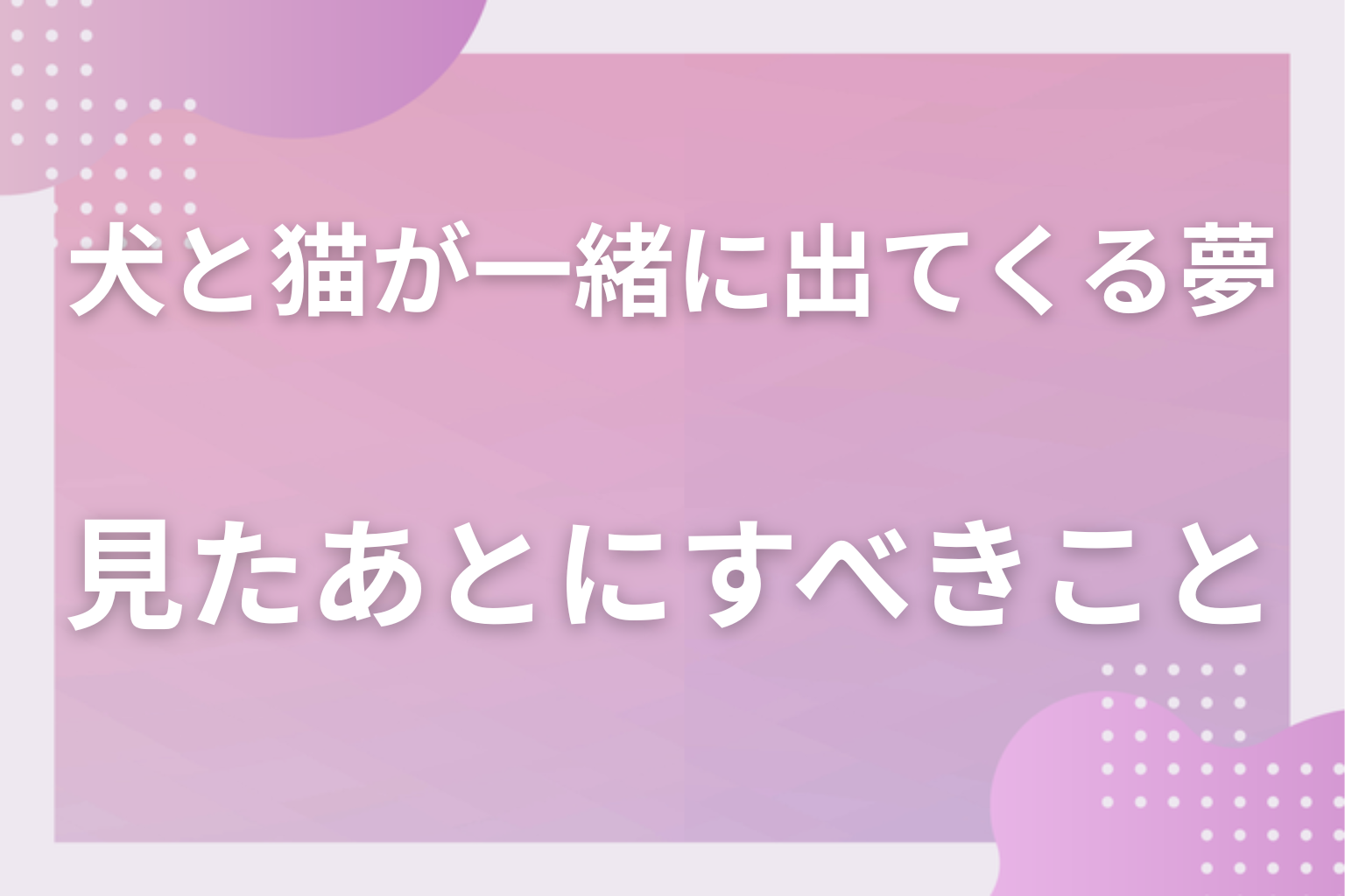 犬と猫が一緒に出てくる夢を見たあとにすべきこと