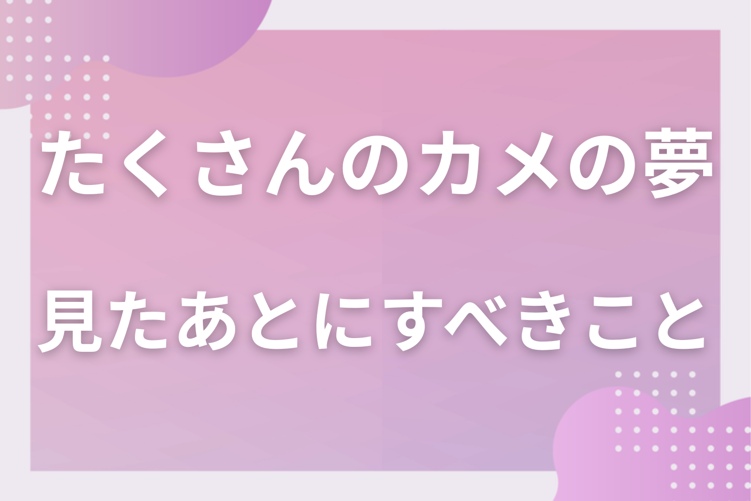 たくさんのカメの夢を見たあとにすべきこと