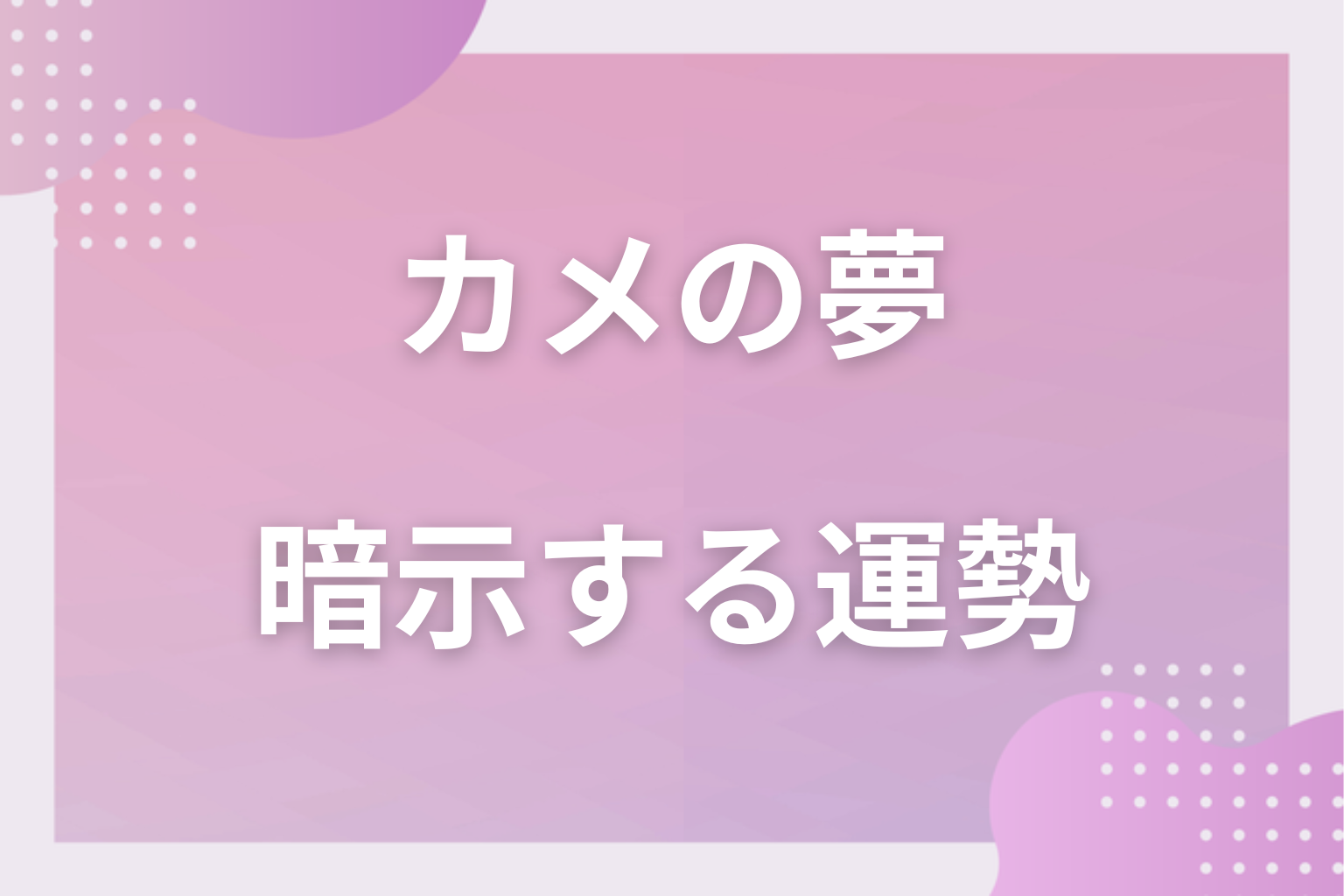 カメの夢が暗示する運勢