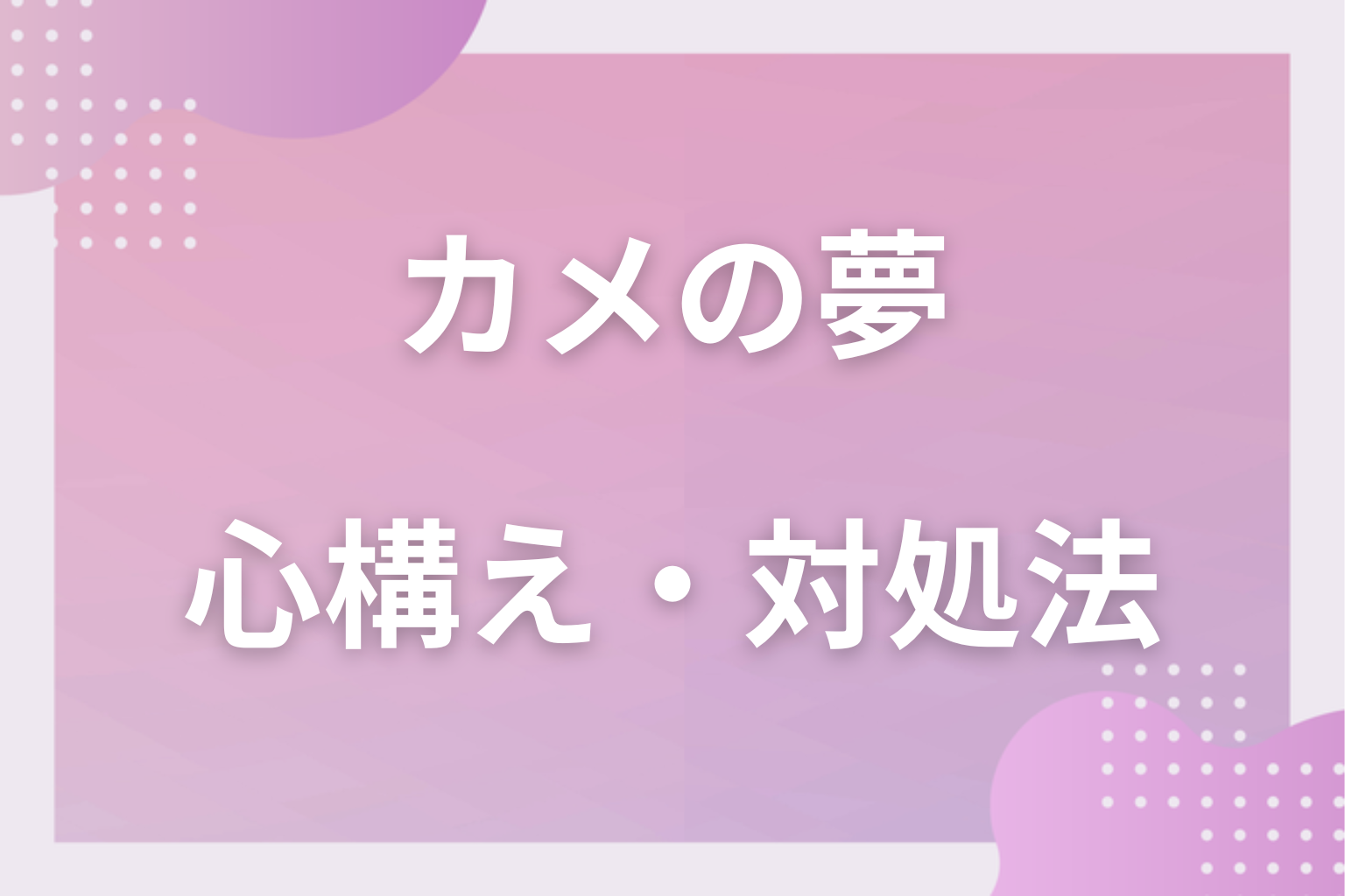 カメの夢を見たときの心構え・対処法